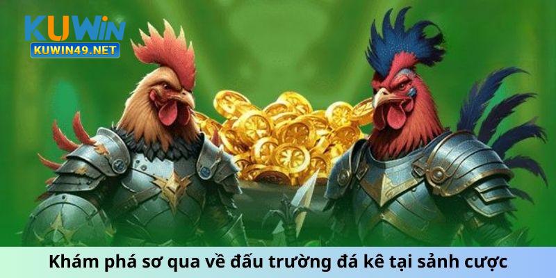 Khám phá sơ qua về đấu trường đá kê tại sảnh cược